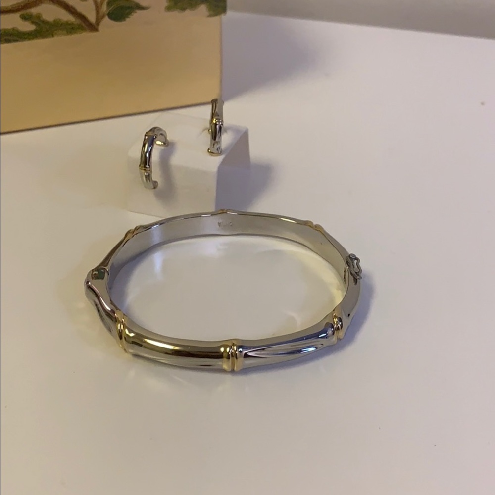 Silver and gold tone bamboo bangle and earrings